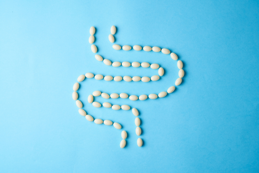 4 Supplements for Digestion at Our Pharmacy